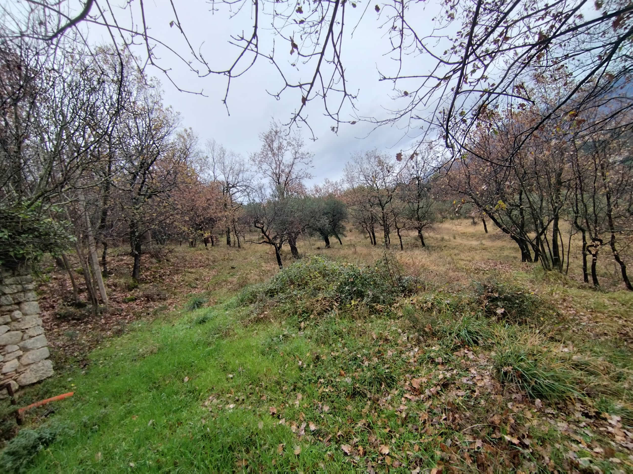 veroli-terreno-agricolo-8